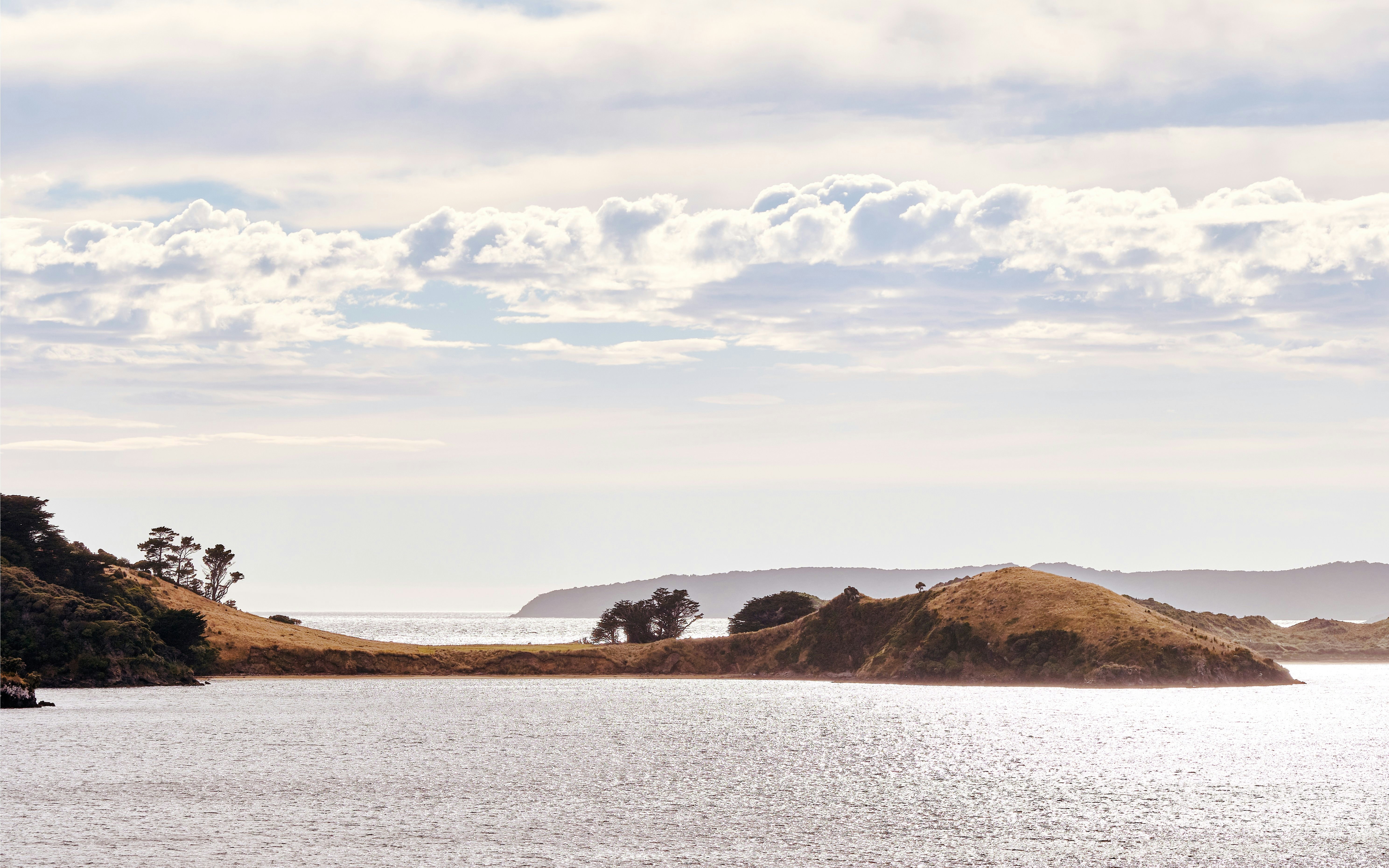Rakiura Coastline