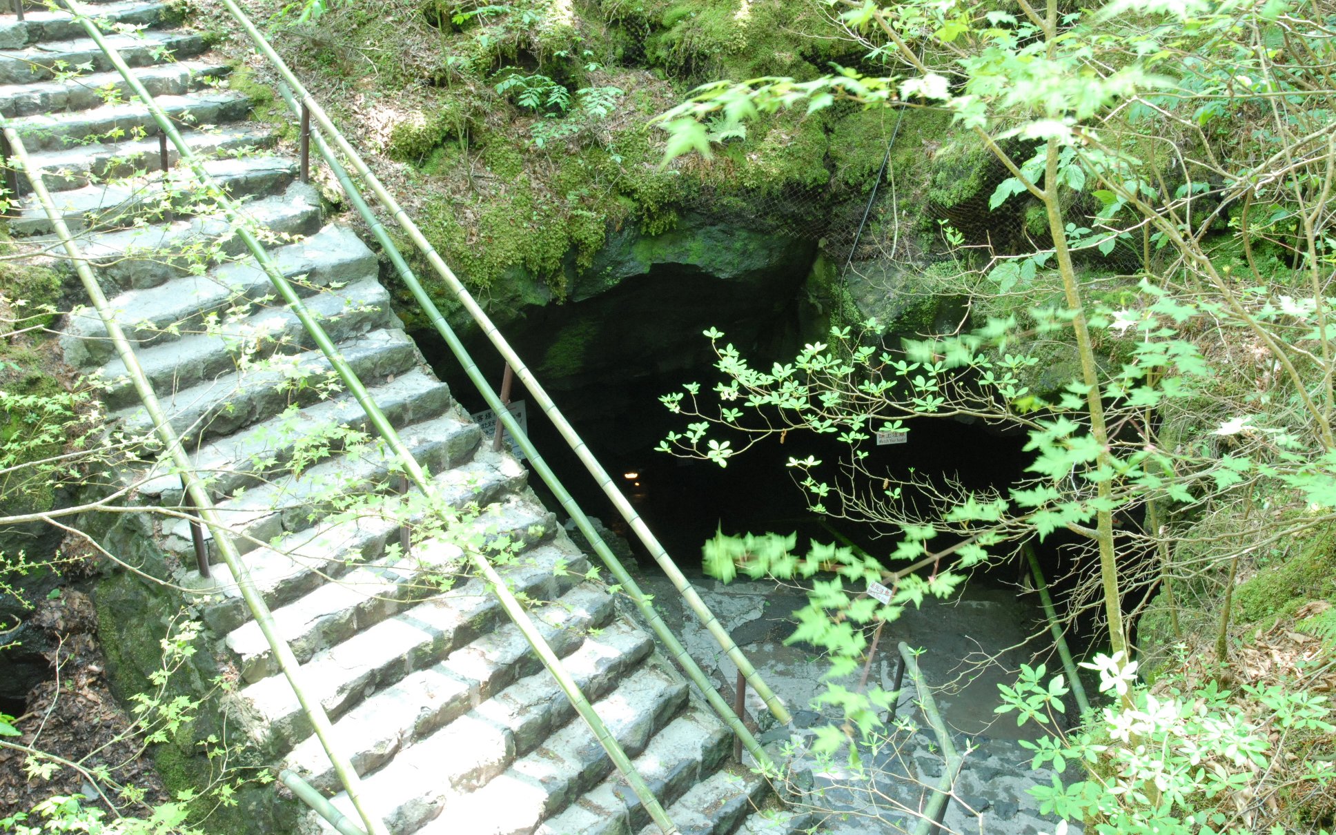 Entrance to Fugaku Wind Cave surrounded by lush greenery, Japan.