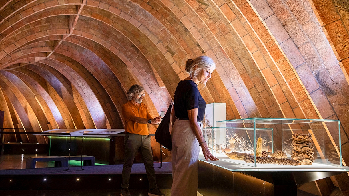 Purchase Casa Mila Skip-the-Line Tickets Online