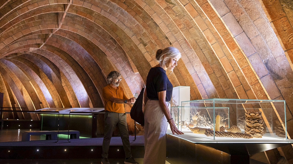 Purchase Casa Mila Skip-the-Line Tickets Online