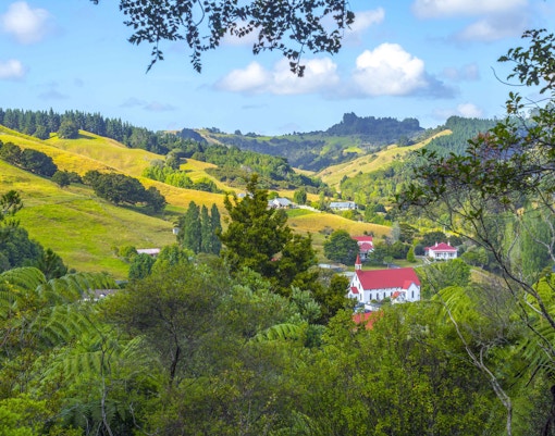 Day Trips from Auckland