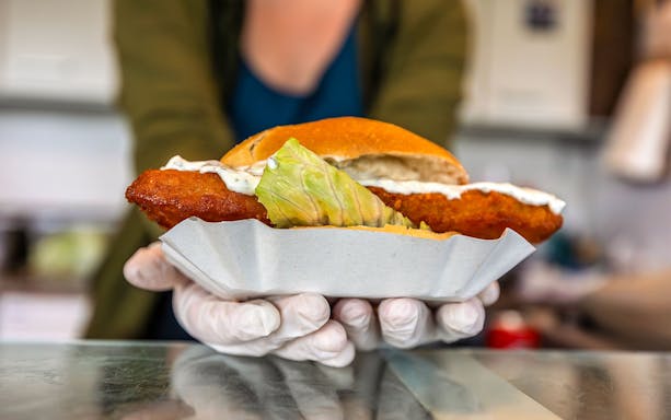 Fried fish sandwich with lettuce and sauce served on a safari tour.