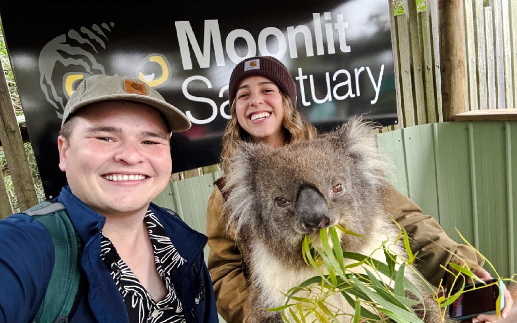 Visitors with a koala at Moonlit Sanctuary, Australia.
