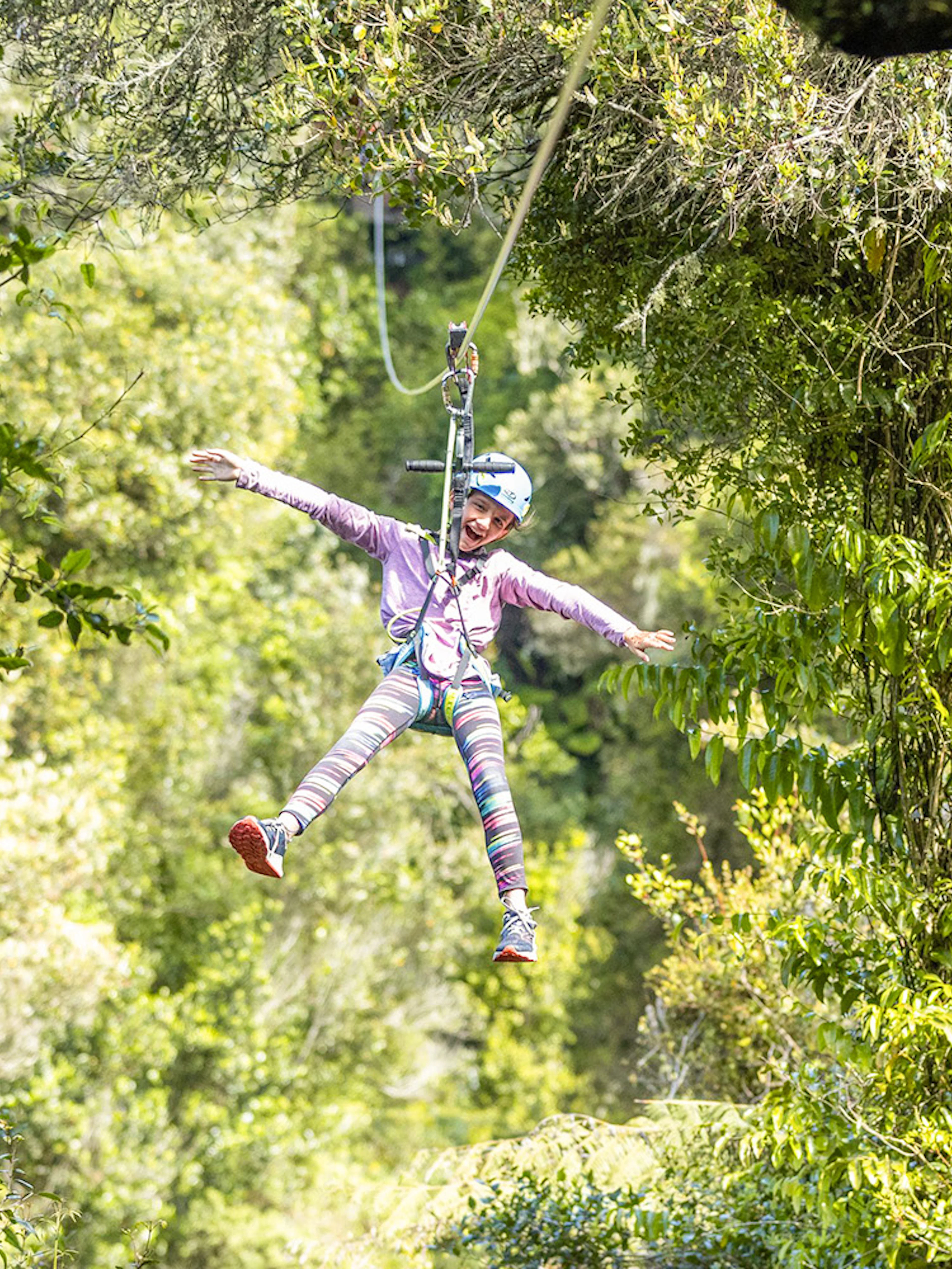 Person ziplining through lush forest in Rotorua, New Zealand.