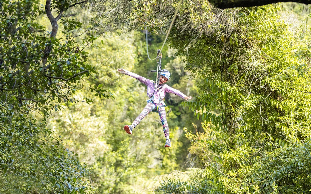 Person ziplining through lush forest in Rotorua, New Zealand.
