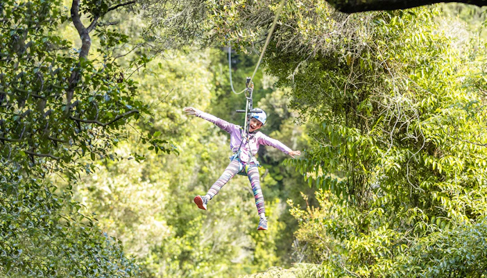 Person ziplining through lush forest in Rotorua, New Zealand.