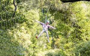 Zip Lining in Rotorua