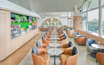 Lounge seating arrangement with rows of chairs and tables, featuring a refreshment area.