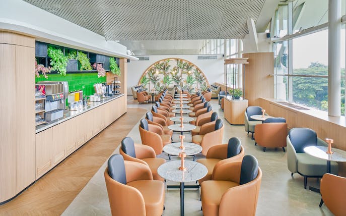 Lounge seating arrangement with rows of chairs and tables, featuring a refreshment area.