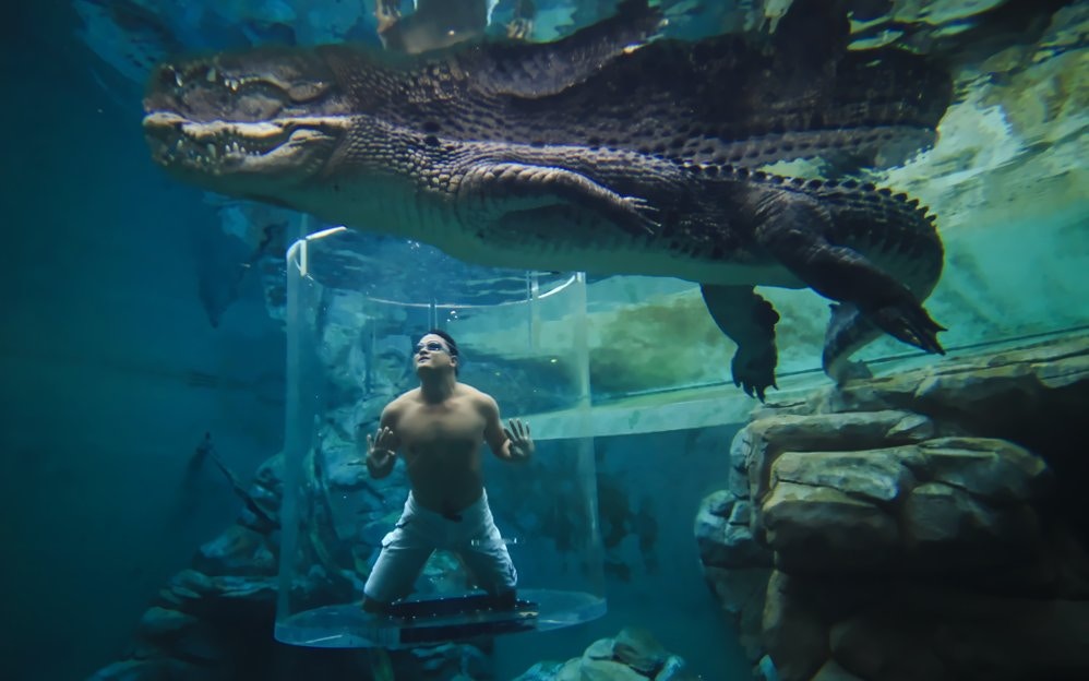 Man in Cage of Death with crocodile, Australia.
