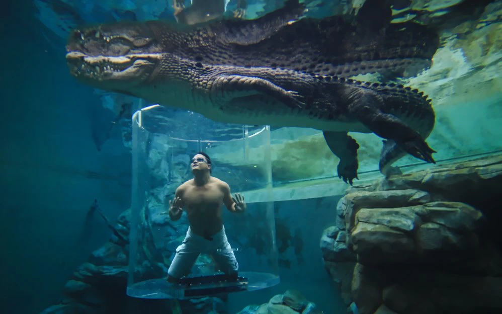 Man in Cage of Death with crocodile, Australia.