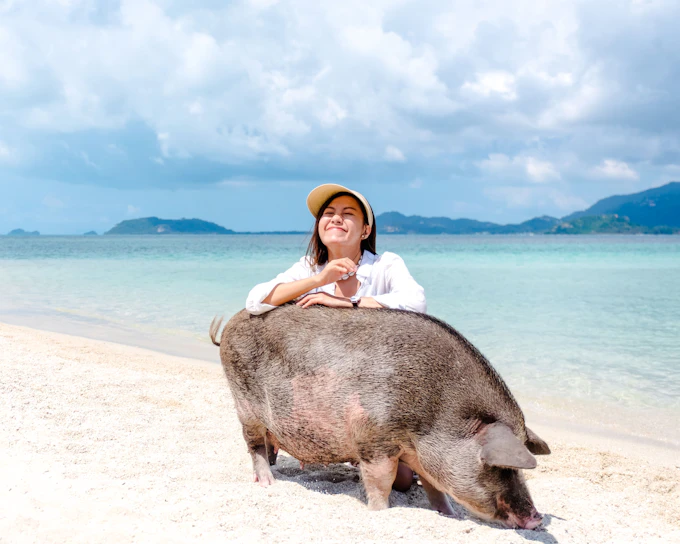 From Koh Samui: Koh Tan and Koh Mudsum Speedboat Day Trip