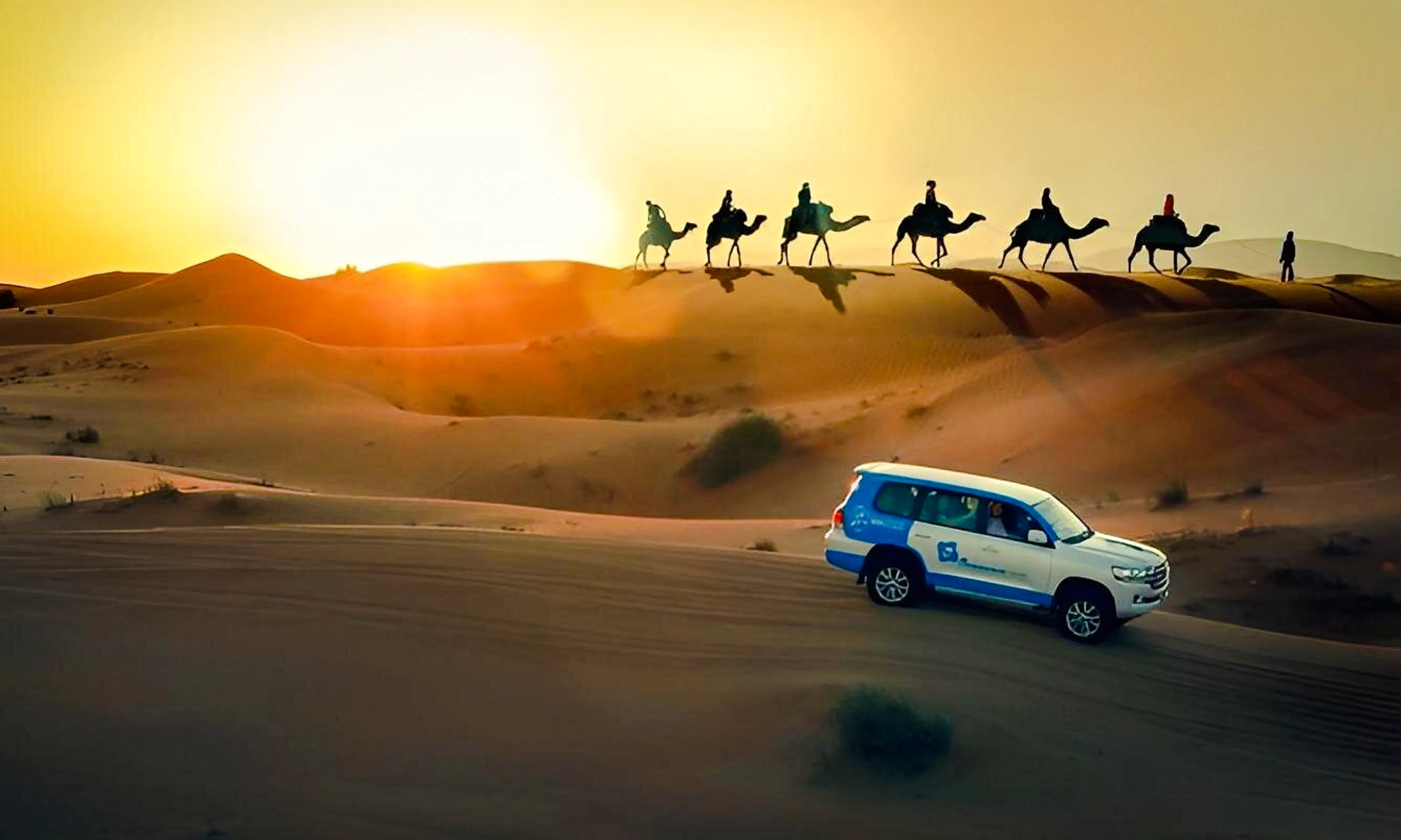 doha private city tour & desert safari with national museum of qatar and museum of islamic art entry-3