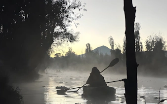 Kayaker paddling at sunrise in the misty canals of Xochimilco.