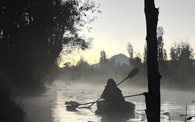 Kayaker paddling at sunrise in the misty canals of Xochimilco.