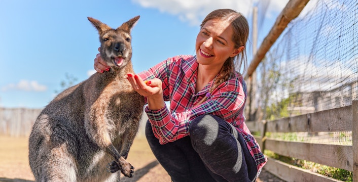 Bonorong Wildlife Sanctuary