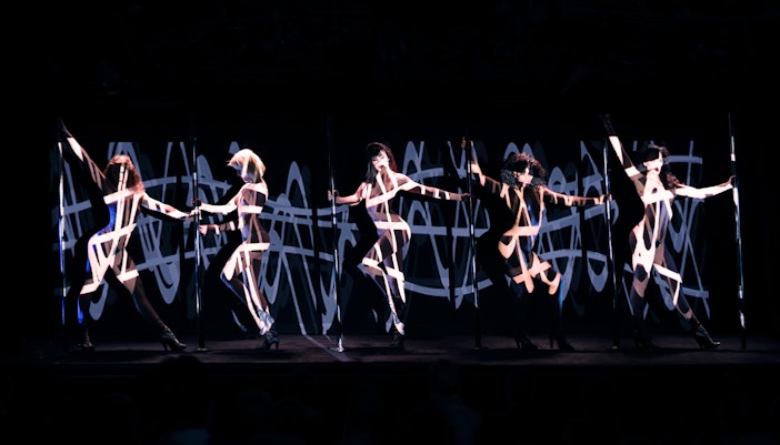 Crazy Horse Paris show