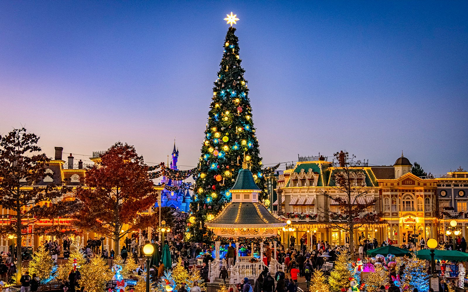 Disneyland Paris christmas evening with Christmas tree