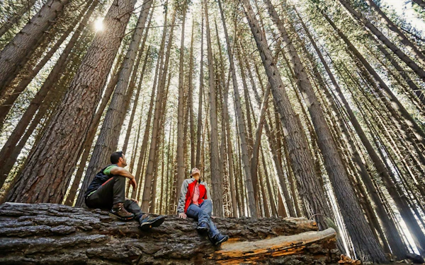 From Bariloche: Victoria Island & Arrayanes Forest Tour