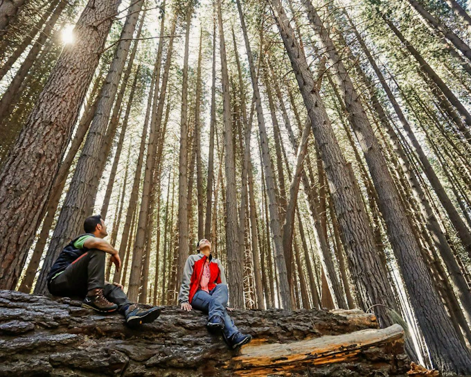 From Bariloche: Victoria Island & Arrayanes Forest Tour