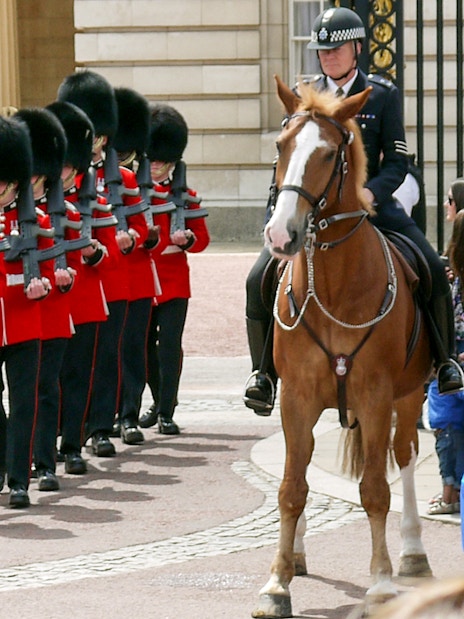 Guards in red uniforms marching at the Changing of the Guards ceremony, London.