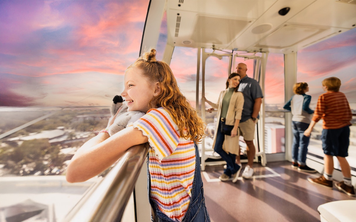 Visitors enjoying the view from the ICON Park observation wheel in Orlando.