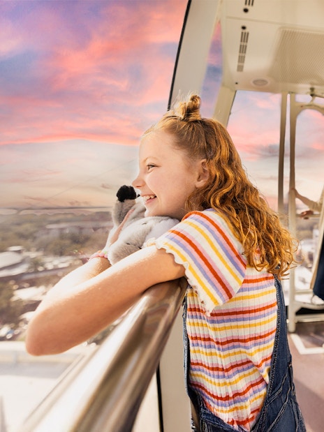Visitors enjoying the view from the ICON Park observation wheel in Orlando.