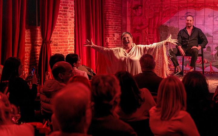 Flamenco performer passionately singing on stage at Flamenco De Leones Show, audience watching.