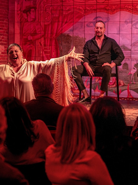 Flamenco performer passionately singing on stage at Flamenco De Leones Show, audience watching.