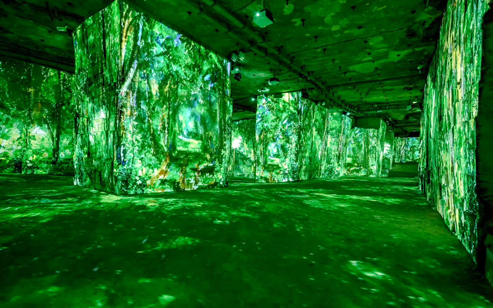 Immersive art projections at Carrières des Lumières, France.