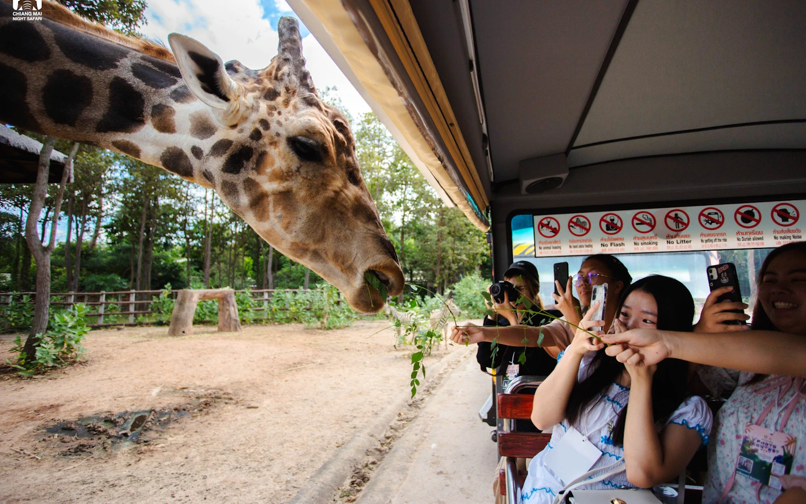 Chiang Mai Lanna Culture Tour with Thai Dress and Chiang Mai Night Safari (Product 56453)