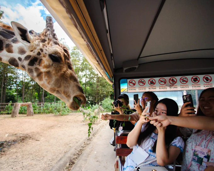 Chiang Mai Lanna Culture Tour with Thai Dress and Chiang Mai Night Safari (Product 56453)