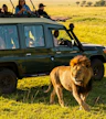Safari matutino