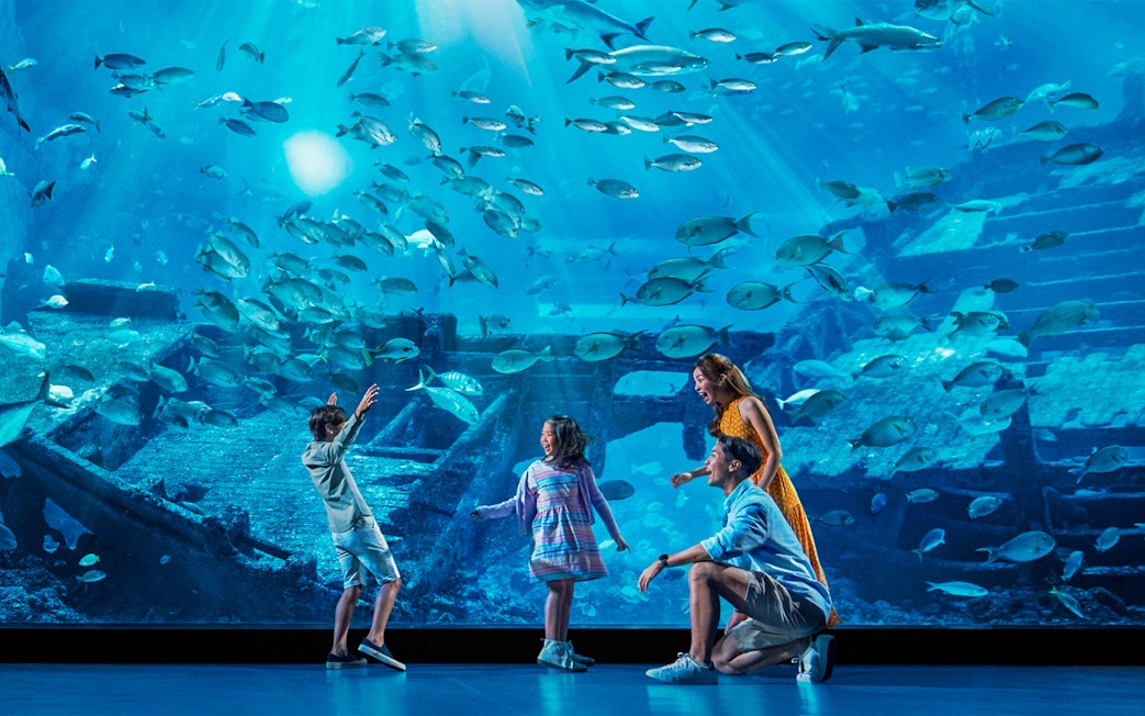 Family enjoying marine life at S.E.A. Aquarium, Singapore.