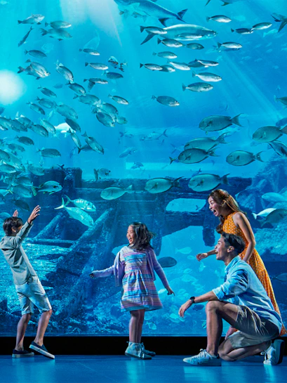 Family enjoying marine life at S.E.A. Aquarium, Singapore.