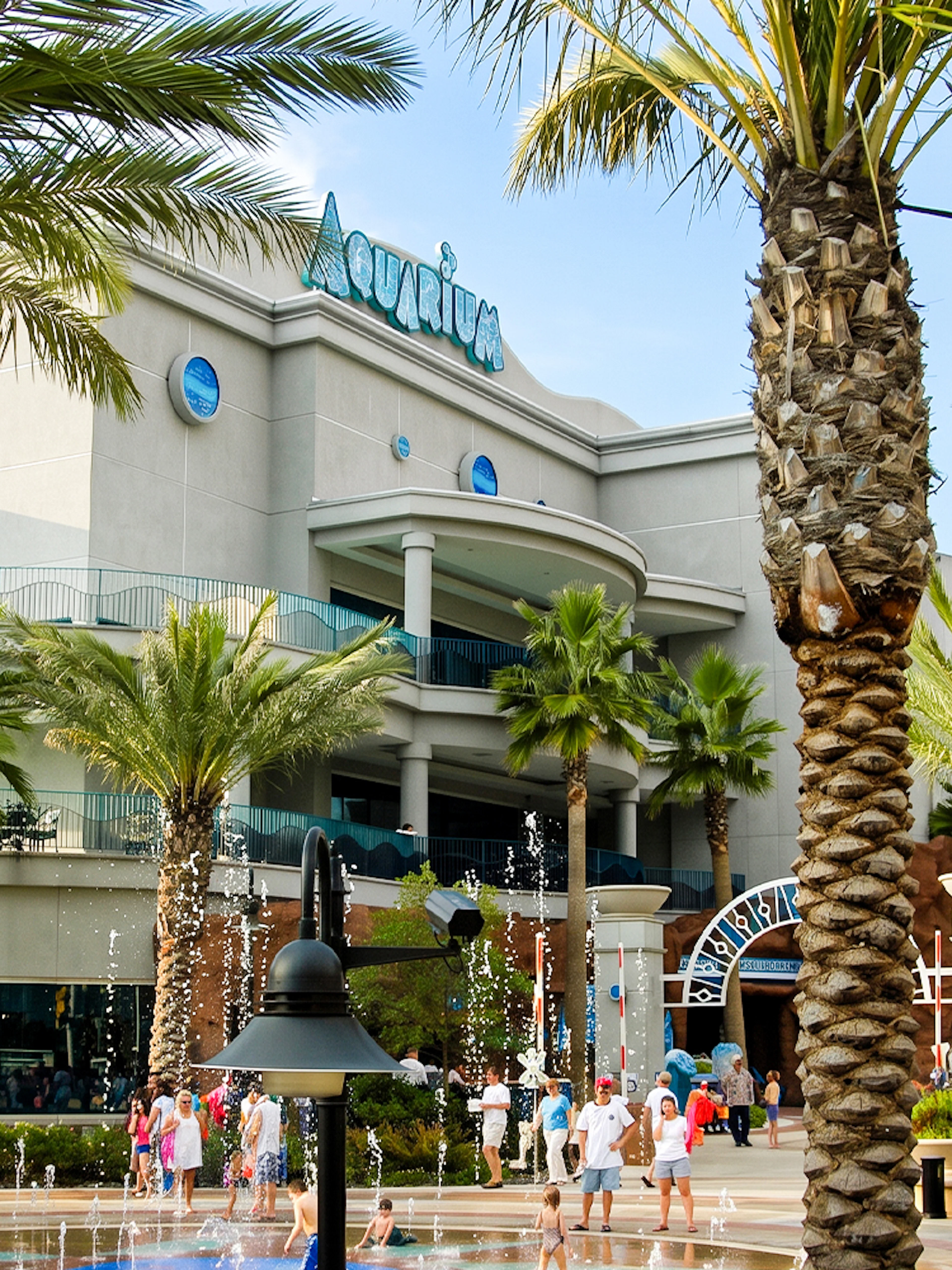 Downtown Aquarium Houston entrance with palm trees and visitors.