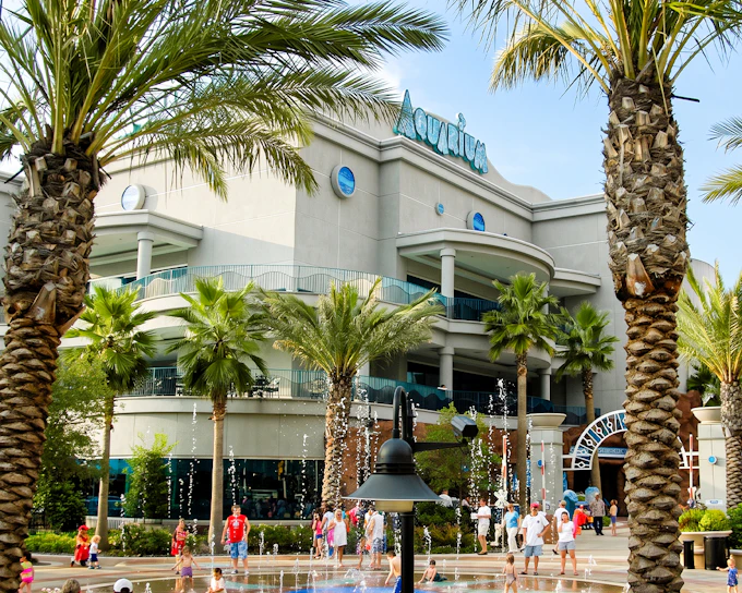Downtown Aquarium Houston Ticket