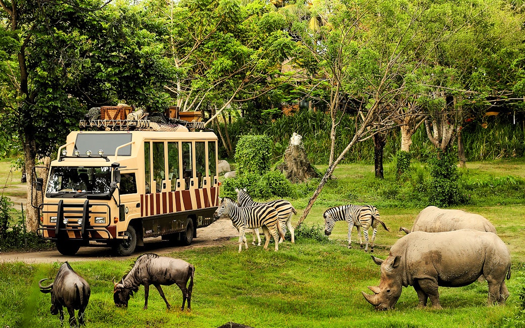 Bali Safari vehicle with zebras, rhinos, and wildebeests in lush greenery.