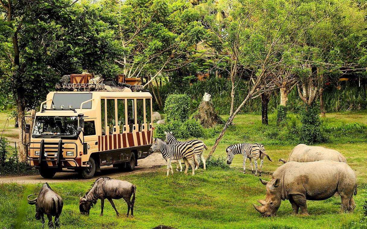 Bali Safari vehicle with zebras, rhinos, and wildebeests in lush greenery.