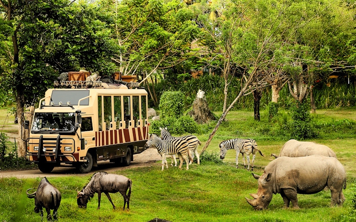 Bali Safari vehicle with zebras, rhinos, and wildebeests in lush greenery.