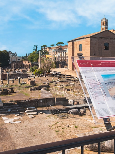 Roman Forum ruins with informational sign, Rome: Colosseum, Palatine Hill & Roman Forum Guided Tour.