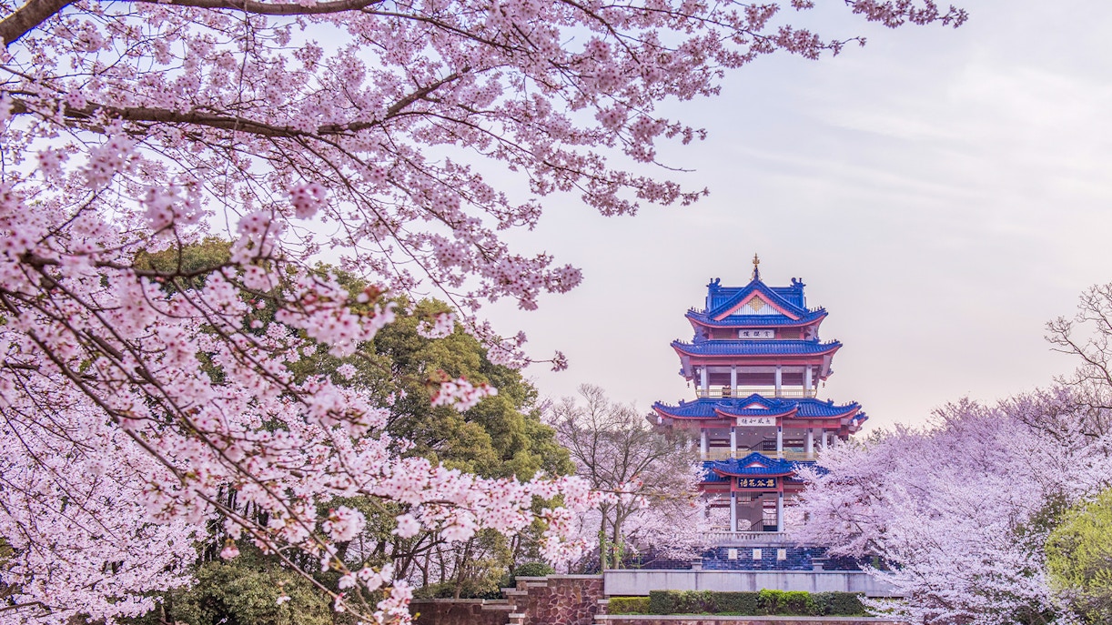 spring in china