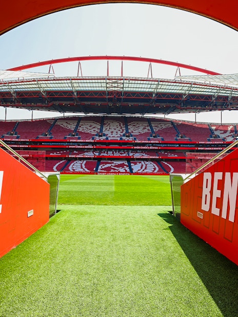 Benfica Stadium player entrance with view of the field and stands in Lisbon, Portugal.