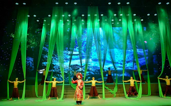 billetter til «da nang charming show»-1