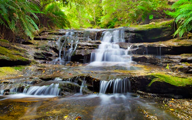 Waterfall at Leura Cascades, Blue Mountains, surrounded by lush greenery.