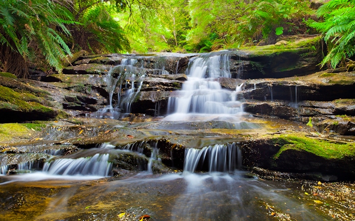 Waterfall at Leura Cascades, Blue Mountains, surrounded by lush greenery.