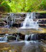 Leura Cascades
