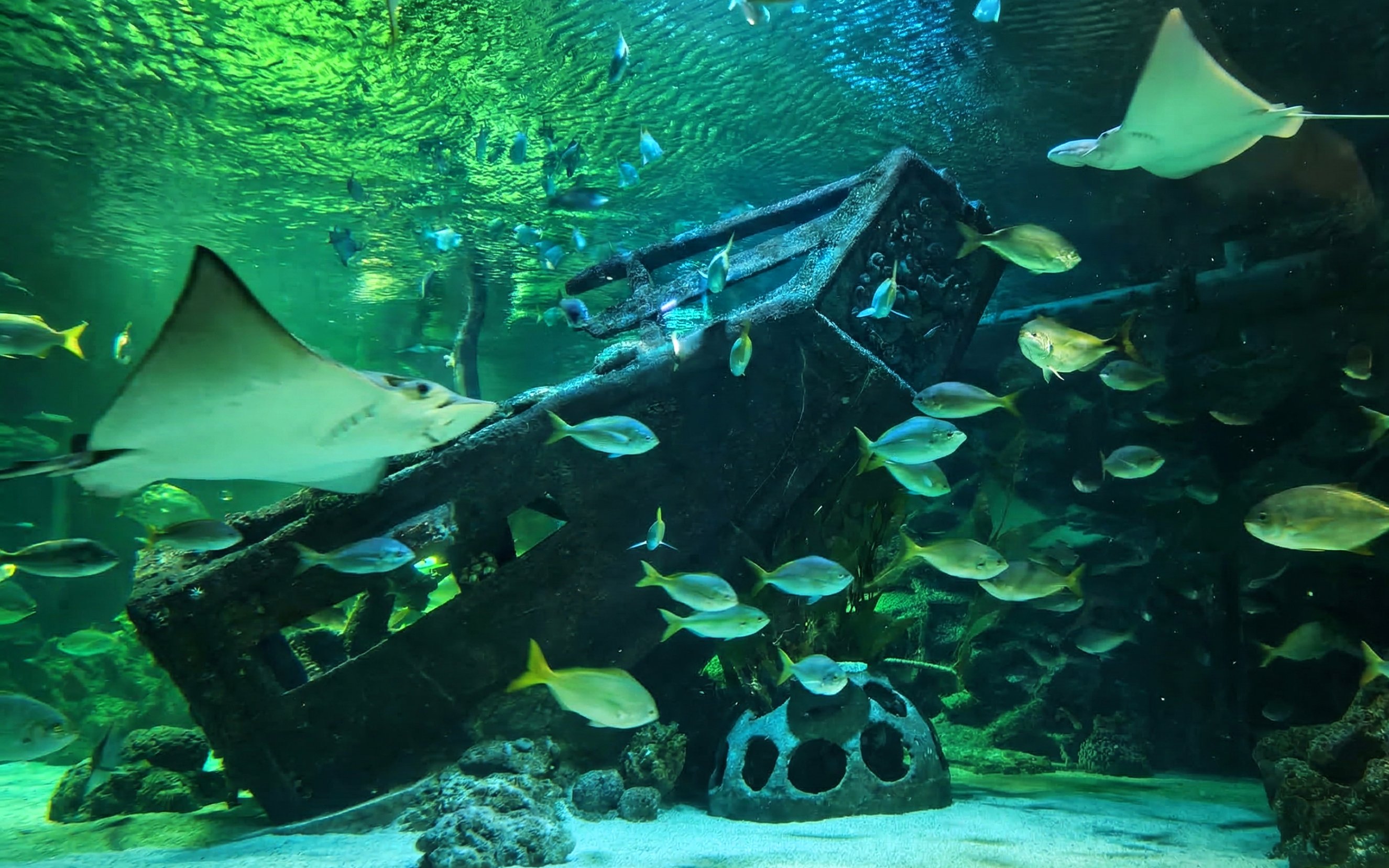 Petrosains staff at the entrance, Kuala Lumpur, part of Combo: Petrosains + Aquaria KLCC tour.