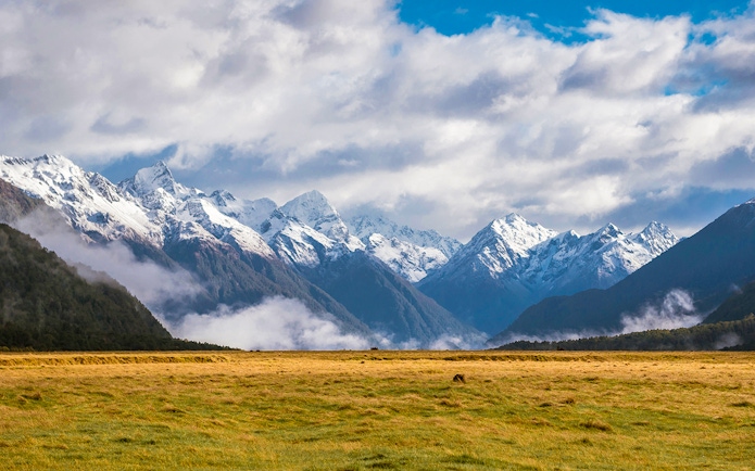 Snow-capped mountains and grassy plains in Milford Sound, New Zealand.