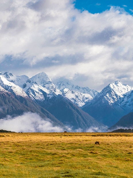 Snow-capped mountains and grassy plains in Milford Sound, New Zealand.